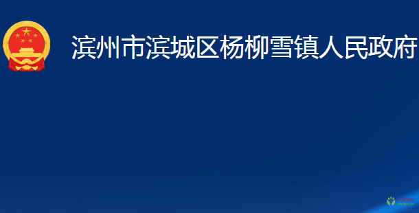 濱州市濱城區(qū)楊柳雪鎮(zhèn)人民政府