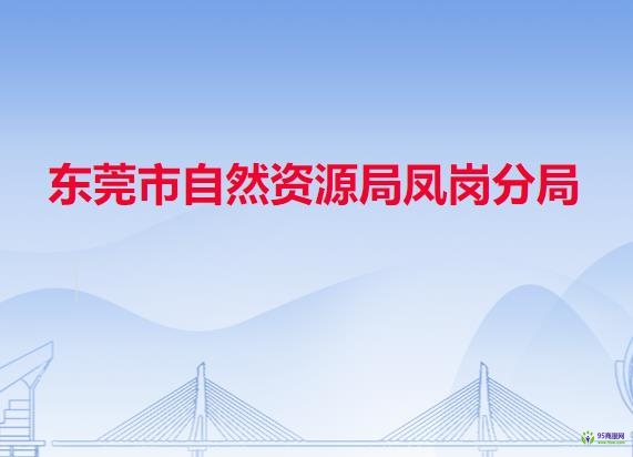 東莞市自然資源局鳳崗分局