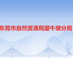 東莞市自然資源局望牛墩分局