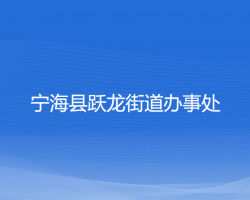 寧海縣躍龍街道辦事處