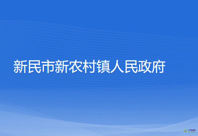 新民市新農(nóng)村鎮(zhèn)人民政府