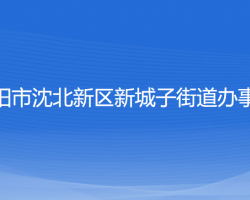 沈陽(yáng)市沈北新區(qū)新城子街道辦事處