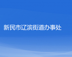 新民市遼濱街道辦事處