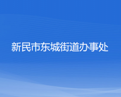 新民市東城街道辦事處