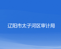 遼陽市太子河區(qū)審計局