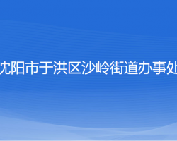 沈陽(yáng)市于洪區(qū)沙嶺街道辦事處