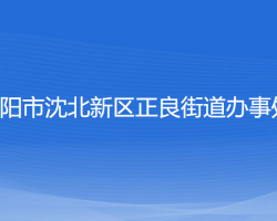 沈陽市沈北新區(qū)正良街道辦事處