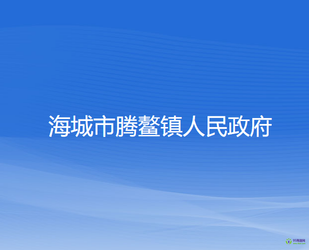 海城市騰鰲鎮(zhèn)人民政府