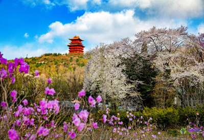 丹東市振興區(qū)人民政府