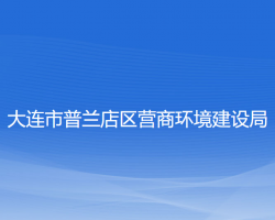 大連市普蘭店區(qū)營(yíng)商環(huán)境建設(shè)局"