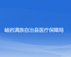 岫巖滿族自治縣醫(yī)療保障局