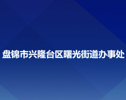 盤(pán)錦市興隆臺(tái)區(qū)曙光街道辦事處