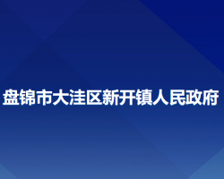 盤錦市大洼區(qū)新開鎮(zhèn)人民政府