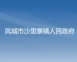 鳳城市沙里寨鎮(zhèn)人民政府