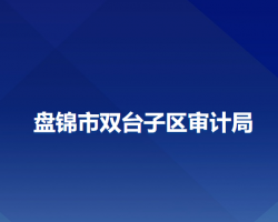 盤錦市雙臺子區(qū)審計局