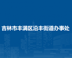 吉林市豐滿區(qū)沿豐街道辦事處