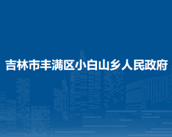 吉林市豐滿區(qū)小白山鄉(xiāng)人民政府