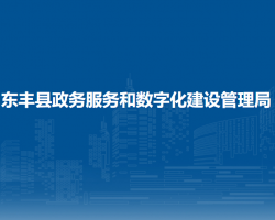 東豐縣政務服務和數(shù)字化建設管理局