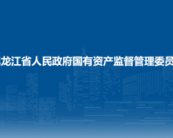 黑龍江省人民政府國有資產