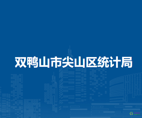 雙鴨山市尖山區(qū)統(tǒng)計局