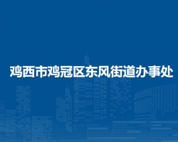 雞西市雞冠區(qū)東風街道辦事處