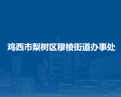 雞西市梨樹區(qū)穆棱街道辦事處