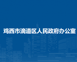 雞西市滴道區(qū)人民政府辦公室