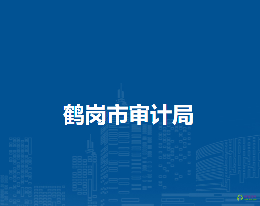 鶴崗市審計(jì)局