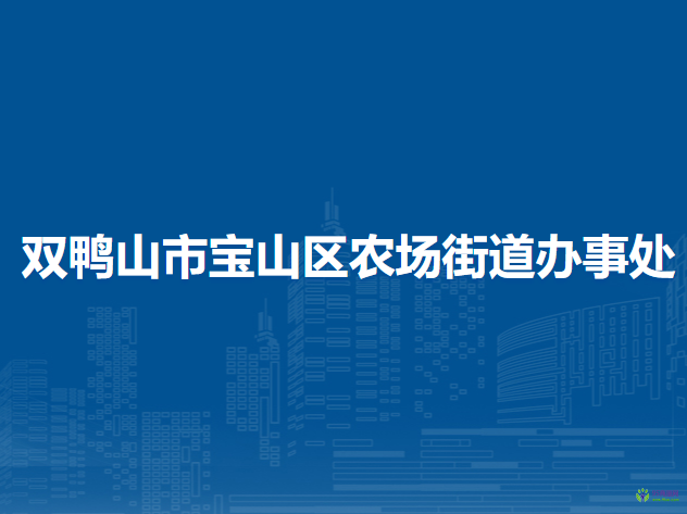 雙鴨山市寶山區(qū)農(nóng)場街道辦事處