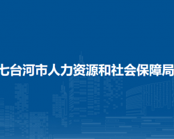 七臺河市人力資源和社會保