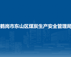 鶴崗市東山區(qū)煤炭生產安全