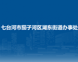 七臺河市茄子河區(qū)湖東街道