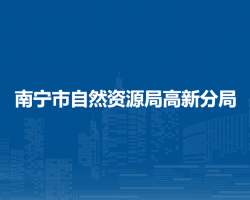 南寧市自然資源局高新分局