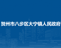 賀州市八步區(qū)大寧鎮(zhèn)人民政府